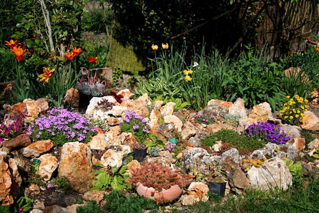 La rocaille de juin