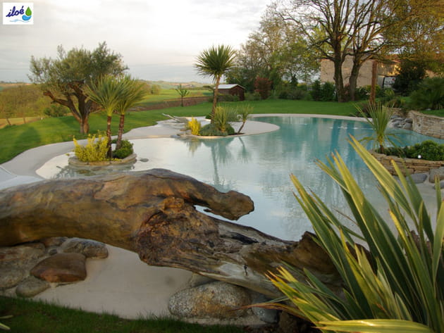 La plage de piscine, une déco de jardin paradisiaque