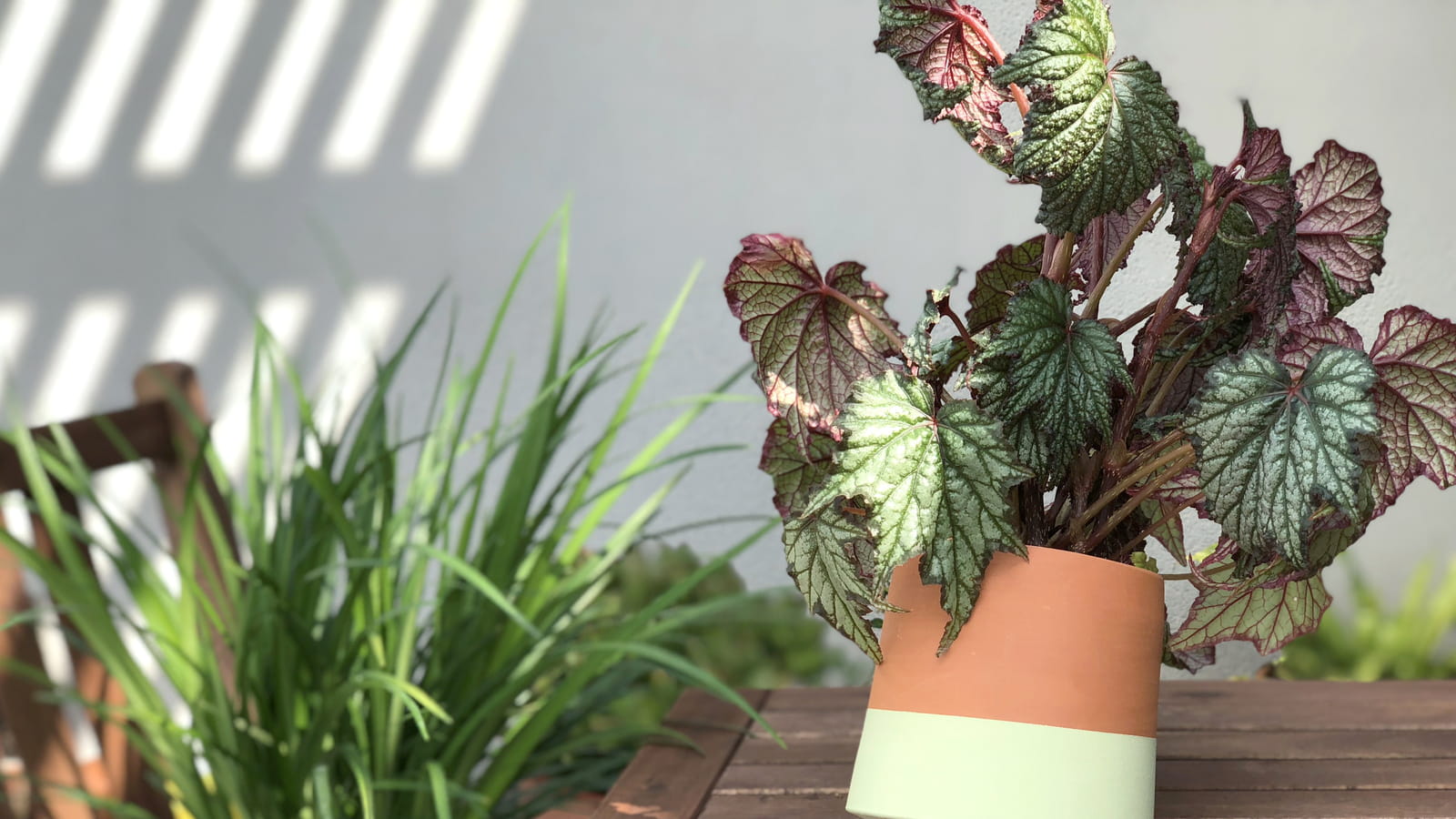 Pot de fleurs Voltasol Mini livingthings