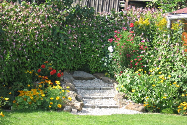 Le Nord-Pas de Calais en fleurs