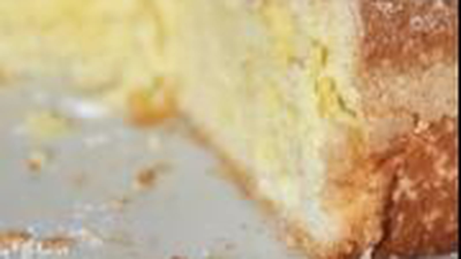 Biscuit de Savoie