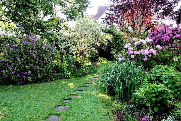 Un joli m&eacute;li-m&eacute;lo de plantes