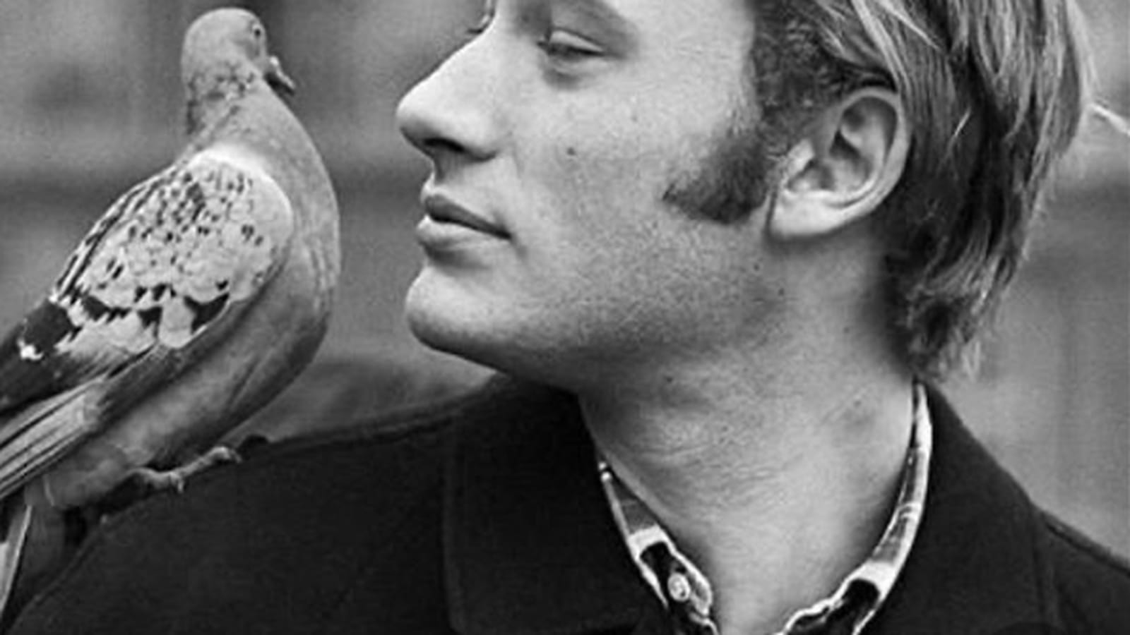 Johnny Hallyday