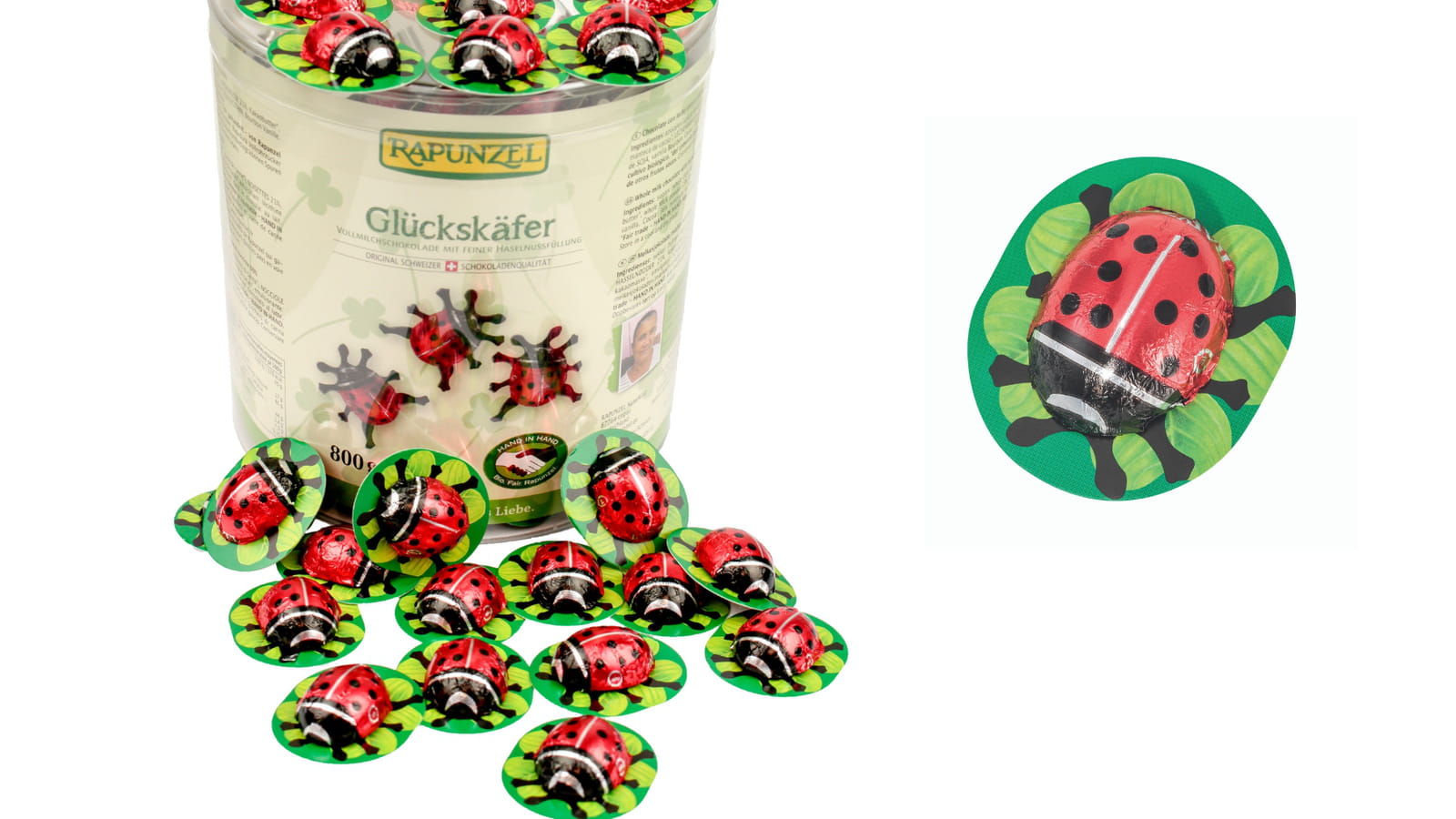 Les coccinelles de Rapunzel