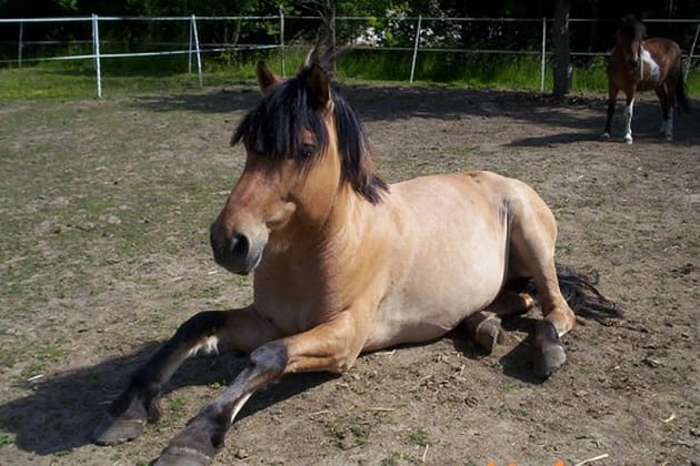 Apr&egrave;s la sieste