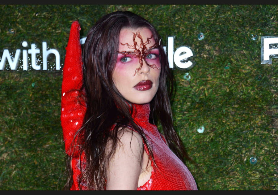 Flop&nbsp;: le maquillage extravagant de Julia Fox