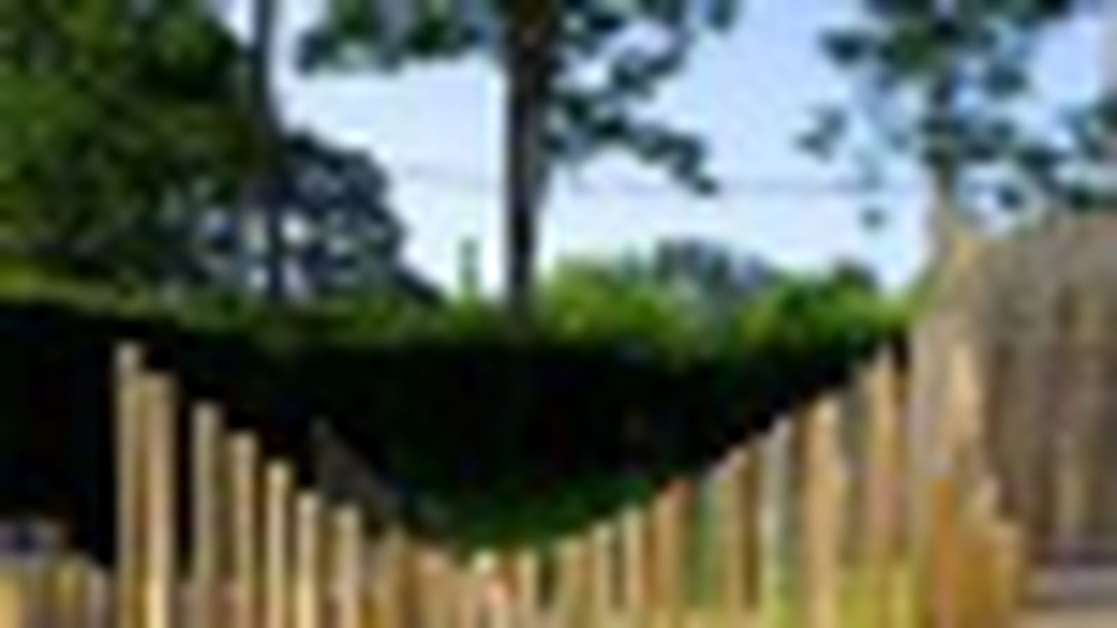 Le jardin Un champs partagé