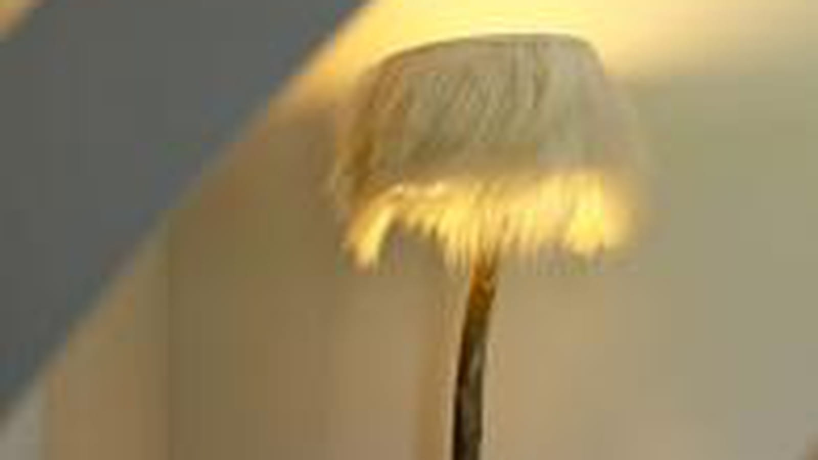 Lampadaire en fourrure