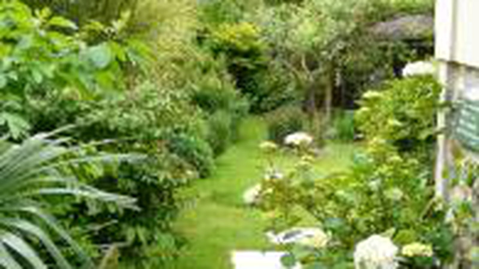 Jardin anglais