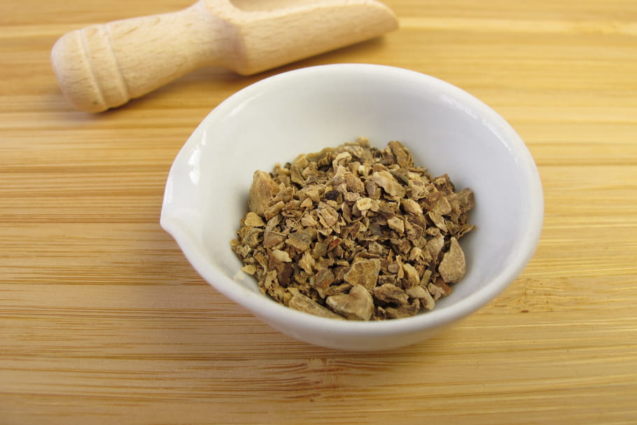 Harpagophytum : indication, posologie, contre-indications