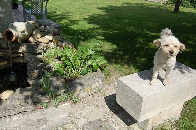 Se servir des accessoires