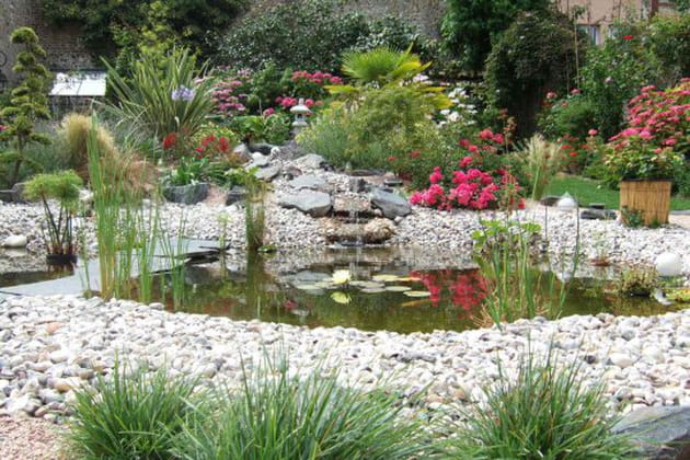 Un peu de fraicheur et d'exotisme