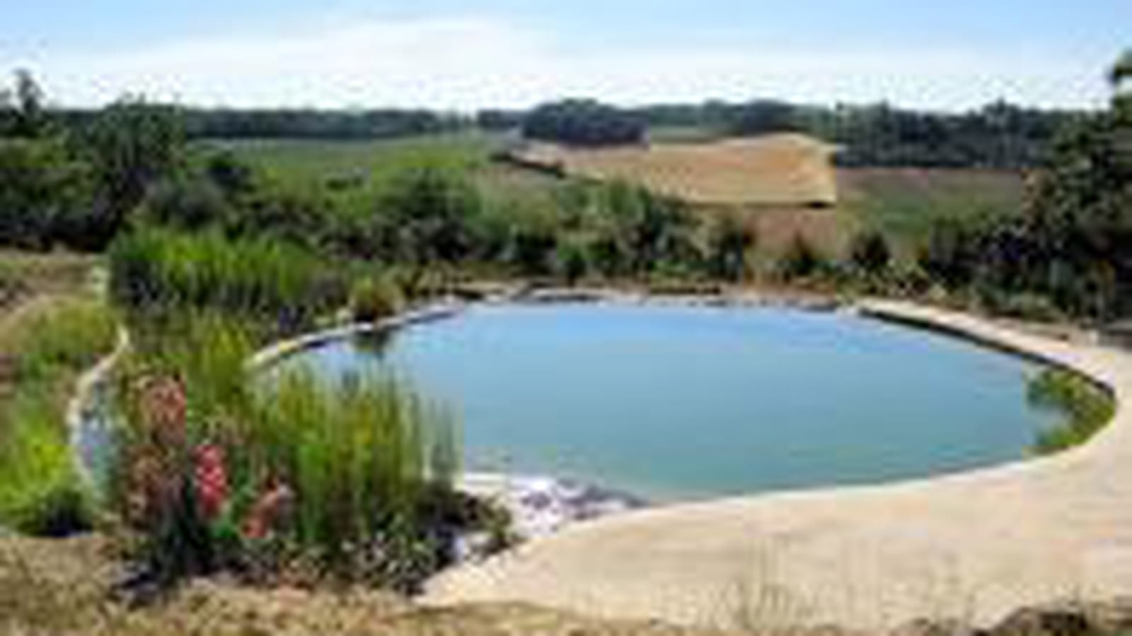 Baignade au naturelle
