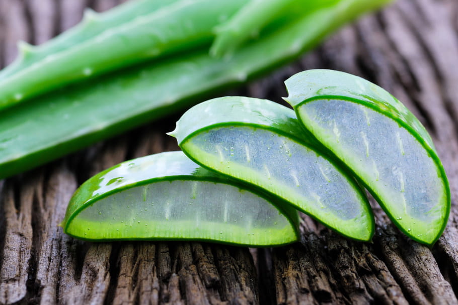 Aloe vera : bienfaits, danger, utilisation santé, peau, visage...