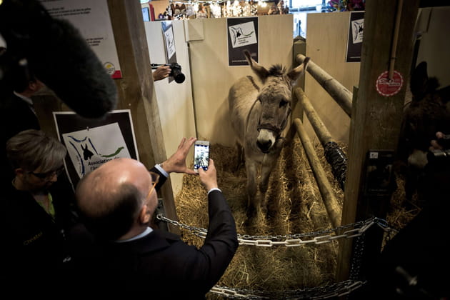 Bernard Cazeneuve se fait immortaliser en immortalisant un âne