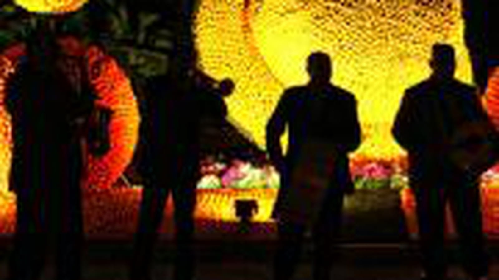 2009 : Les Jardins de Lumière
