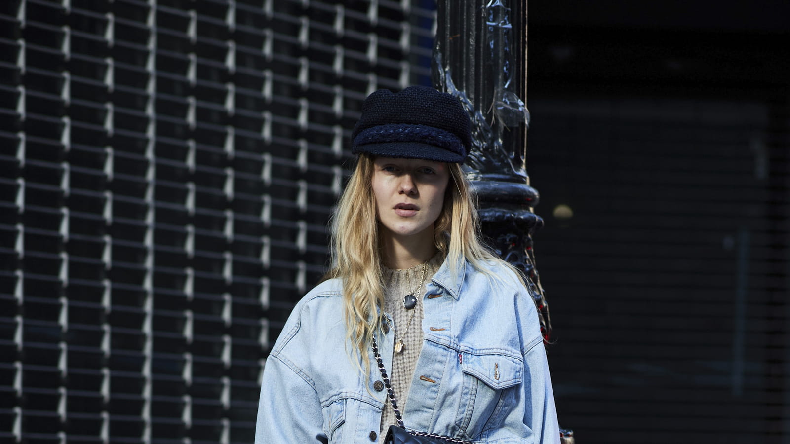 Léopard avec le denim