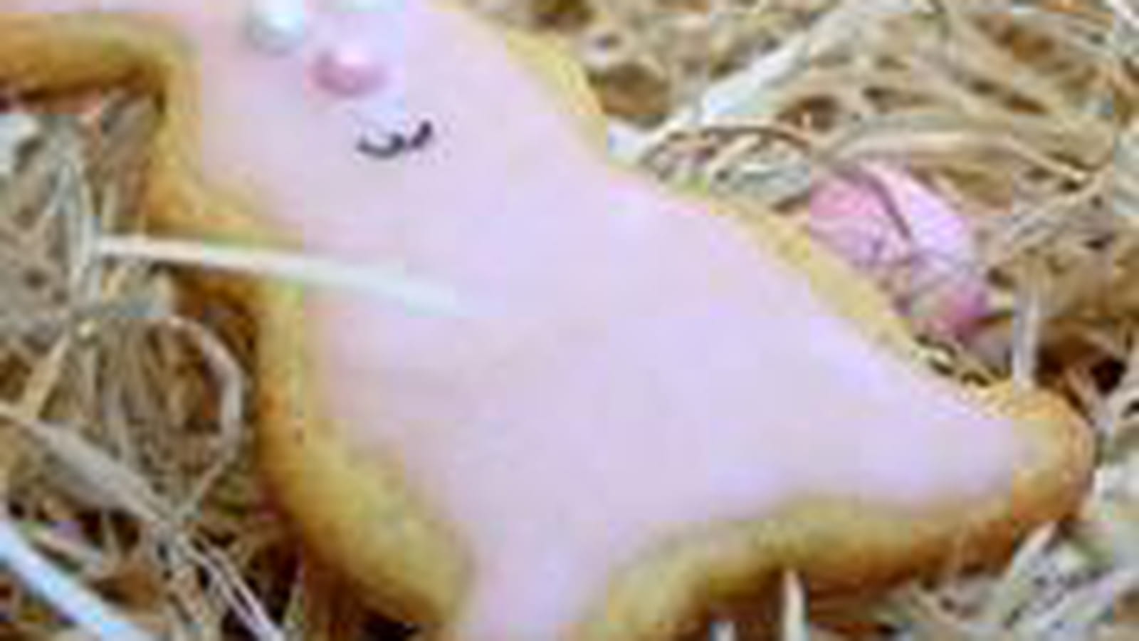 Sablés de Pâques
