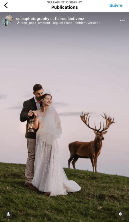 photos-mariage-cerf-elaphe-present