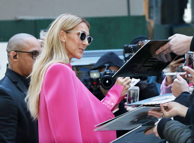 C&eacute;line Dion&nbsp;: la vie en rose