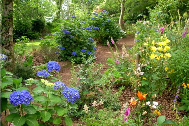 Le jardin de Danyland