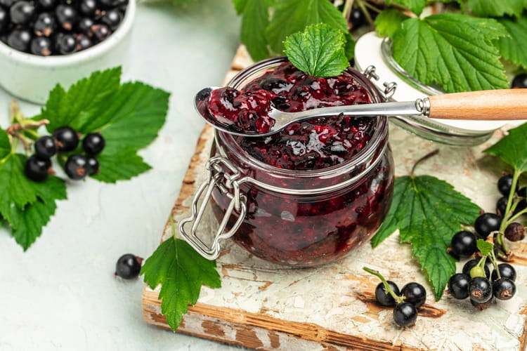 Recettes au cassis : cr&egrave;me, confiture, liqueur, gel&eacute;e...