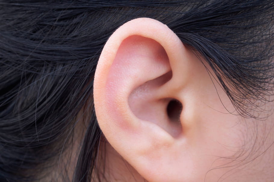Oreille : interne, externe, anatomie, rôle, fonctionnement