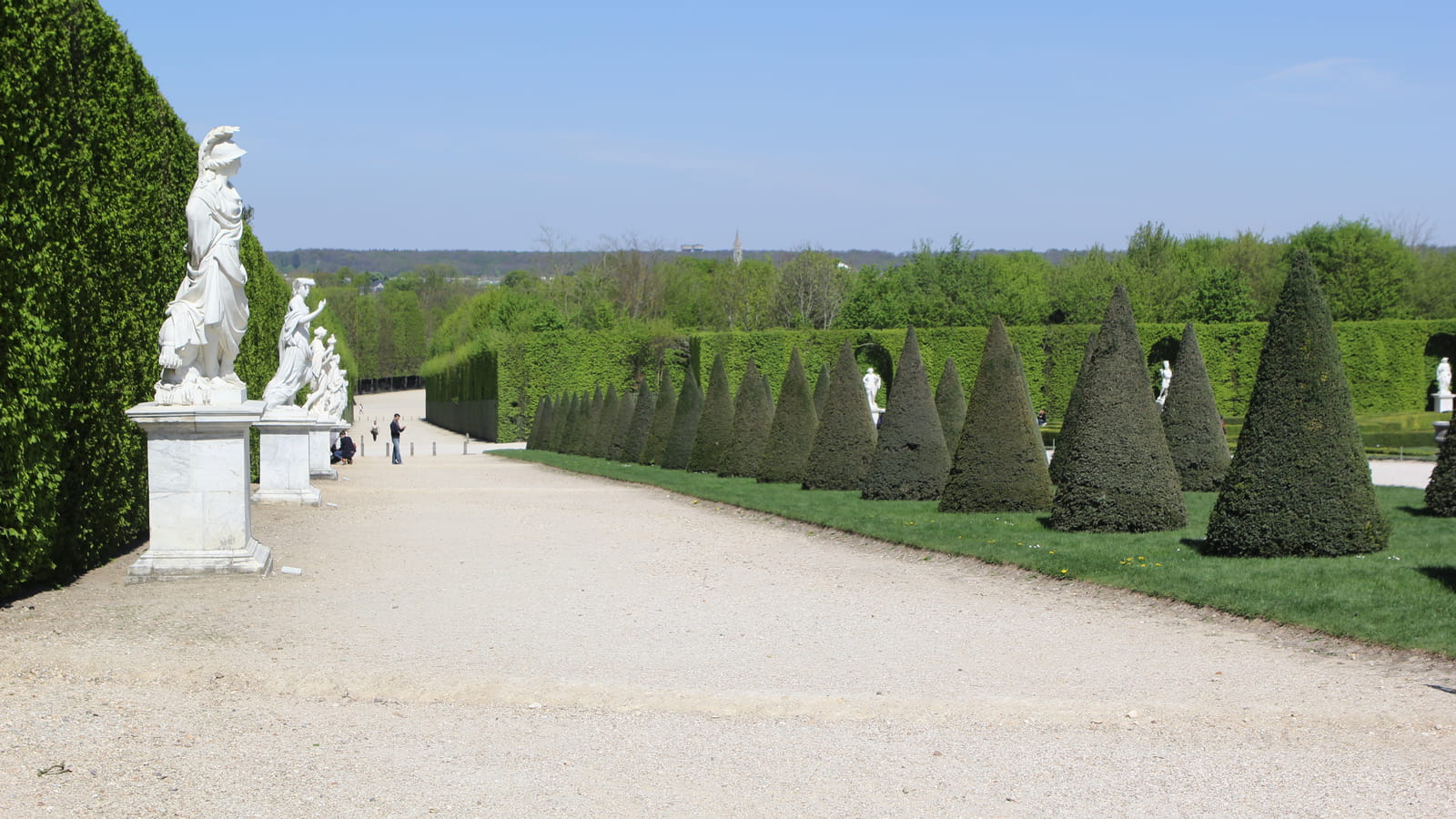 Allée et buis en cône