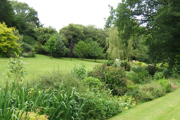 Un jardin vallonn&eacute;... en ville