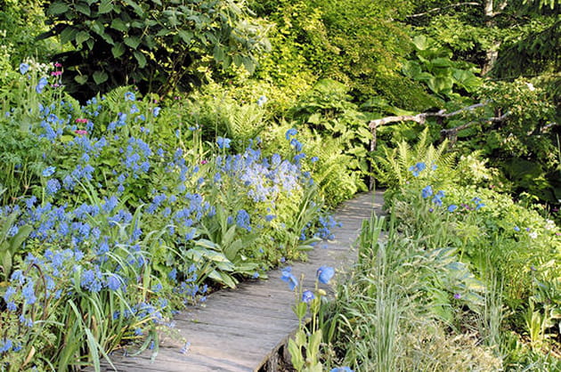 Chemin de fraîcheur