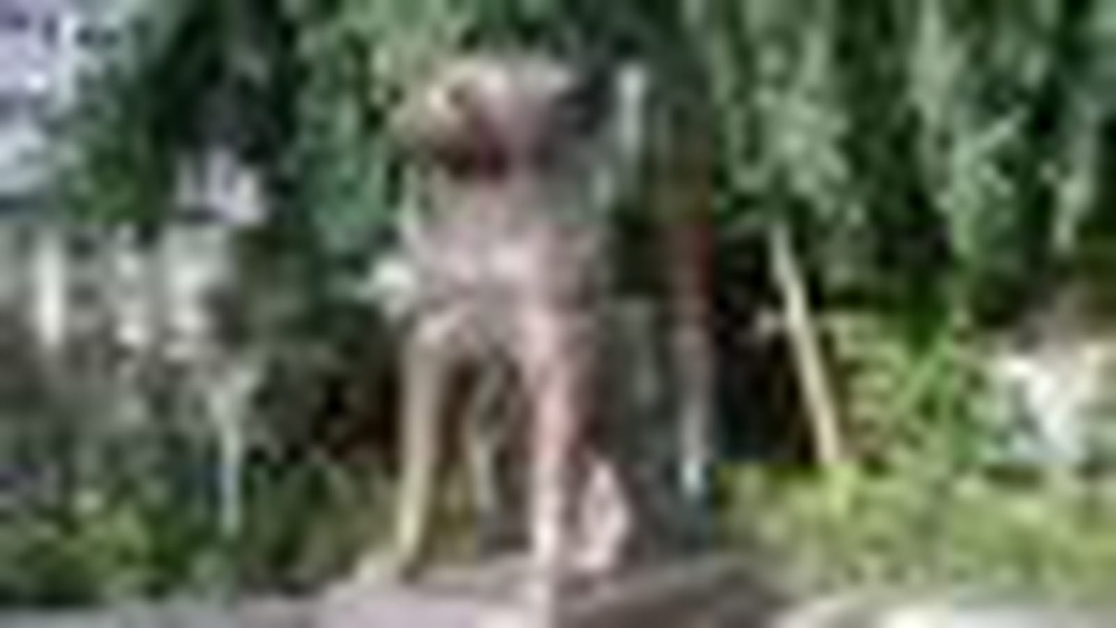 Statue d'Hachiko