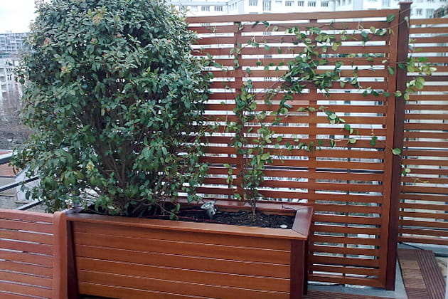 Assortiment de constructions en bois