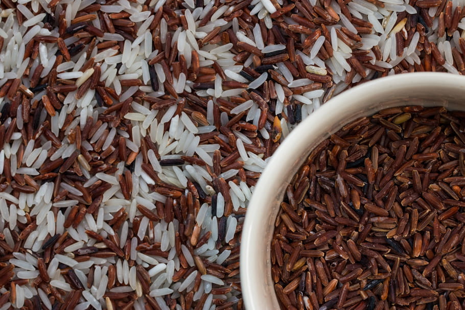Quel riz pour ma recette ?