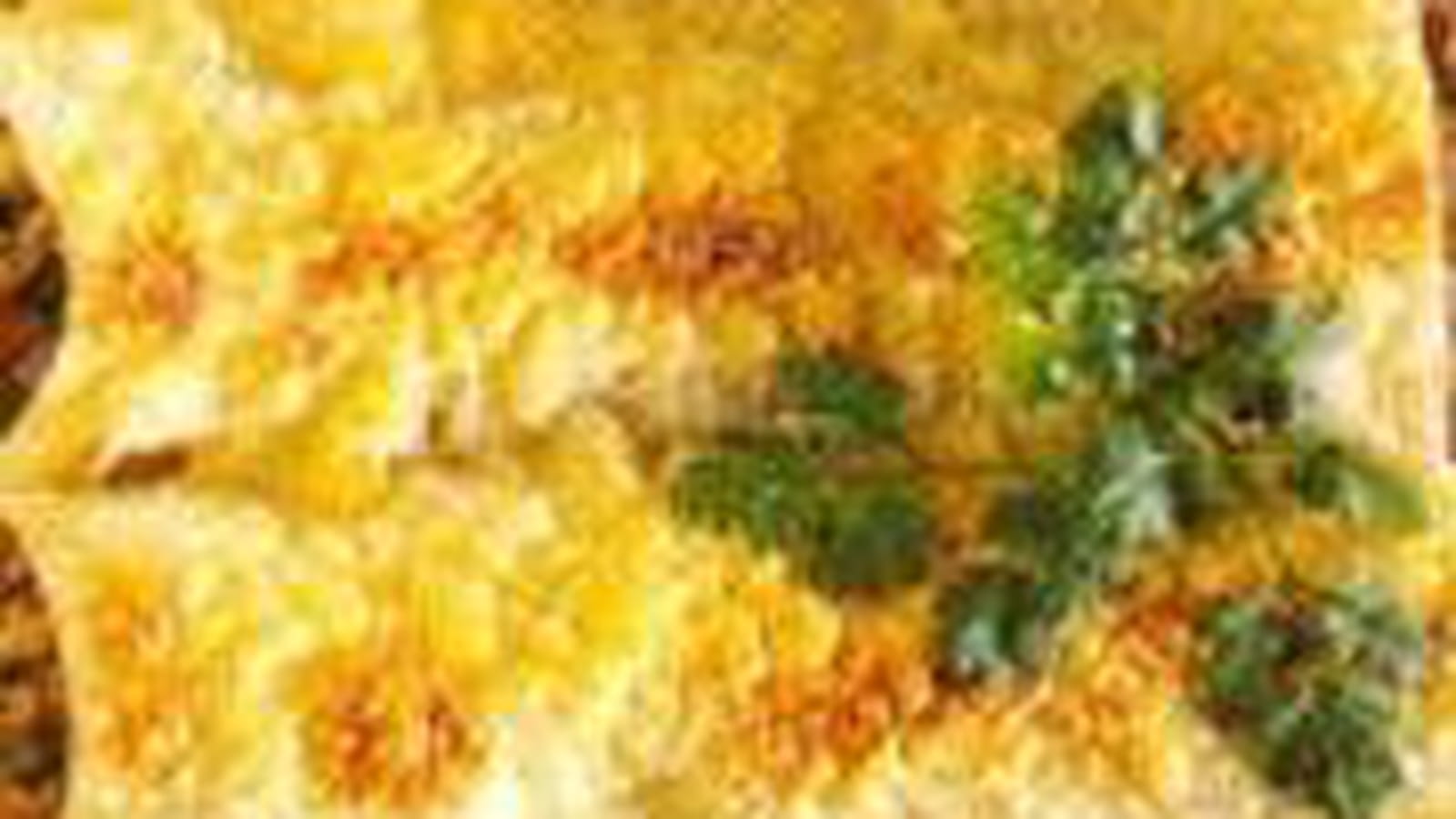 Cannellonis au confit de canard