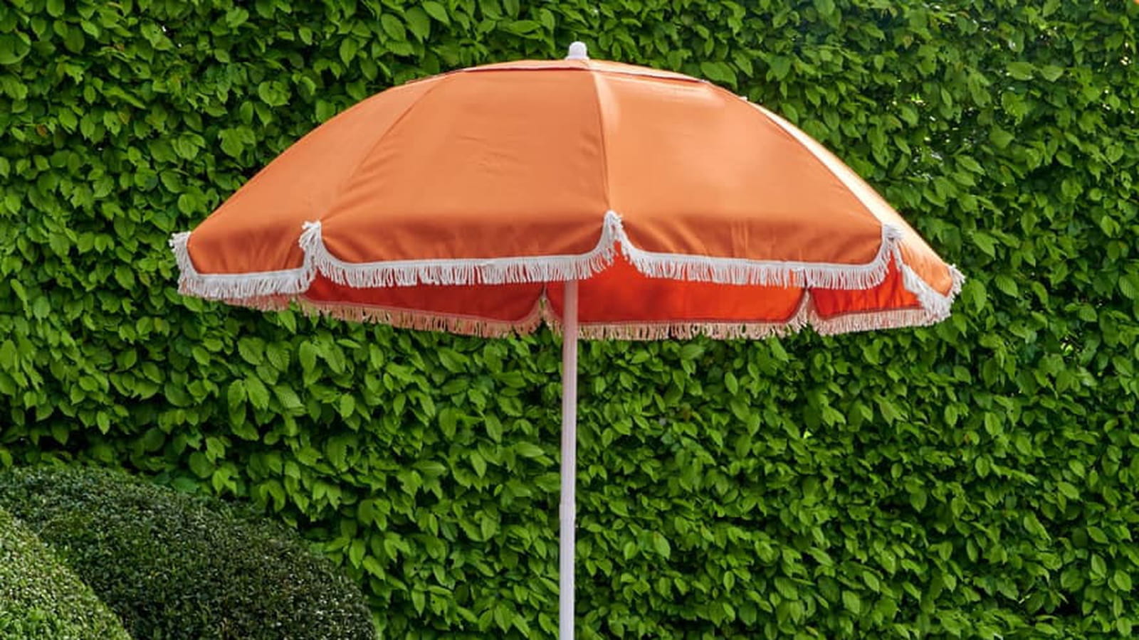 Parasol
