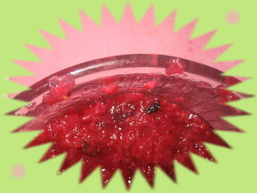 Compote de pommes et de fruits rouges