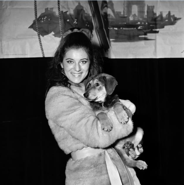 Sheila lors du Noël des Animaux, à Paris en 1968