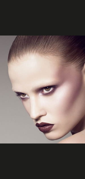 D&eacute;grad&eacute; de prune