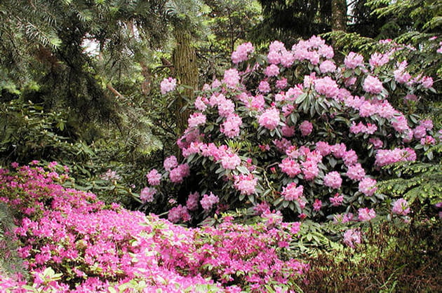 Le Jardin Leslie-Hancock
