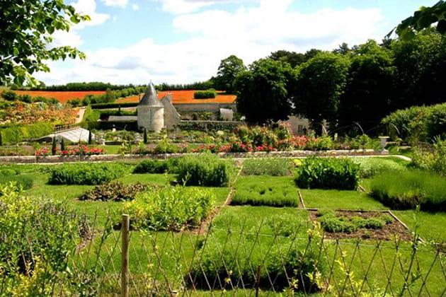 Le Jardin des Sciences botaniques