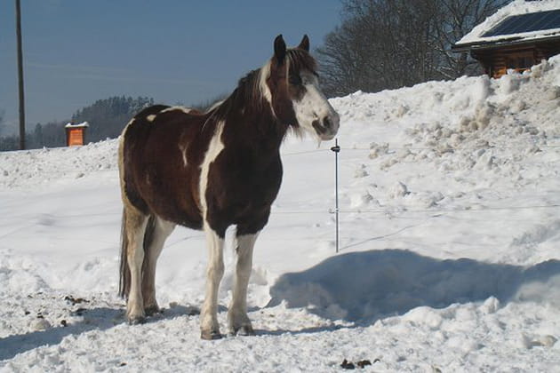 La ch&eacute;rie de Lucie