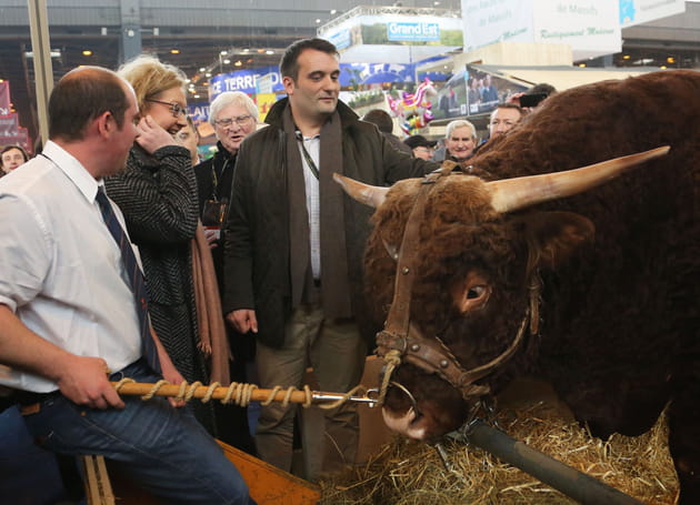Pas prêt d'attraper le taureau par les cornes