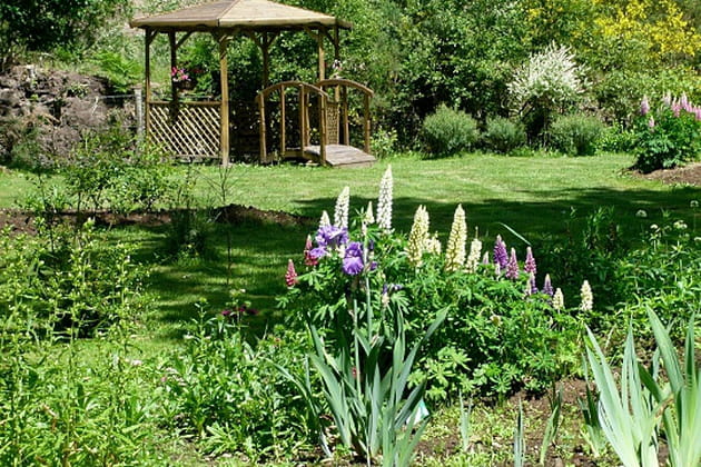 Magie et création dans le jardin de Catherine