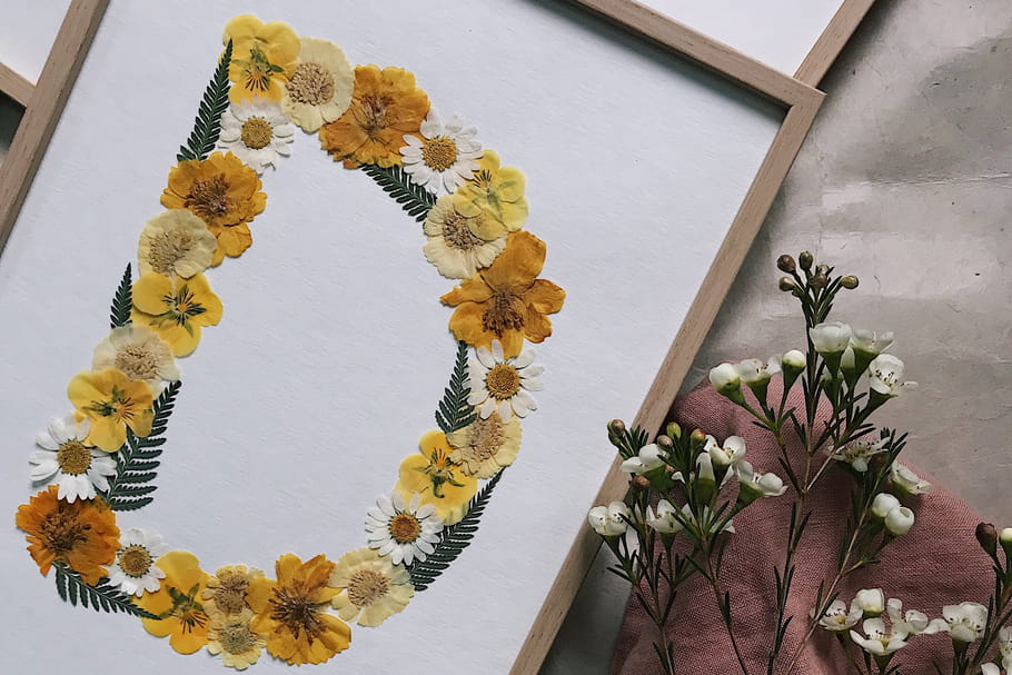 L'objet du désir : les lettres fleuries d'Herbarium