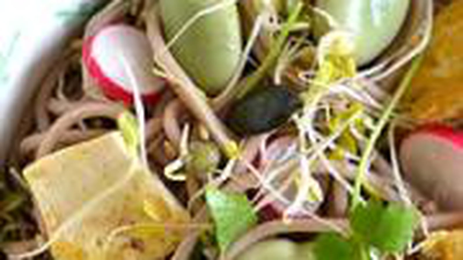 Salade printanière de nouilles