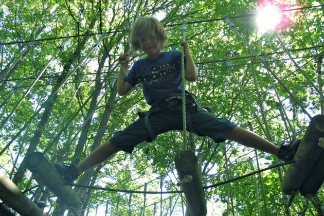 Paco, la t&ecirc;te dans les arbres
