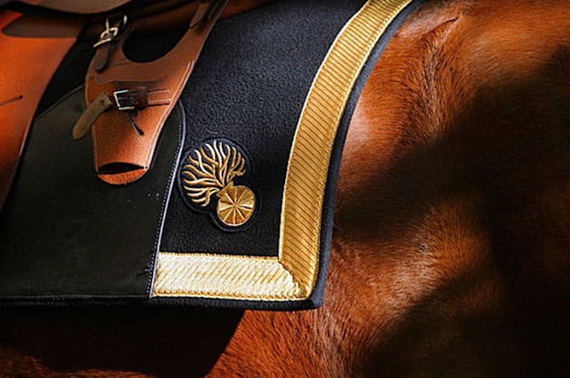 Tapis de selle d'arme d'officier