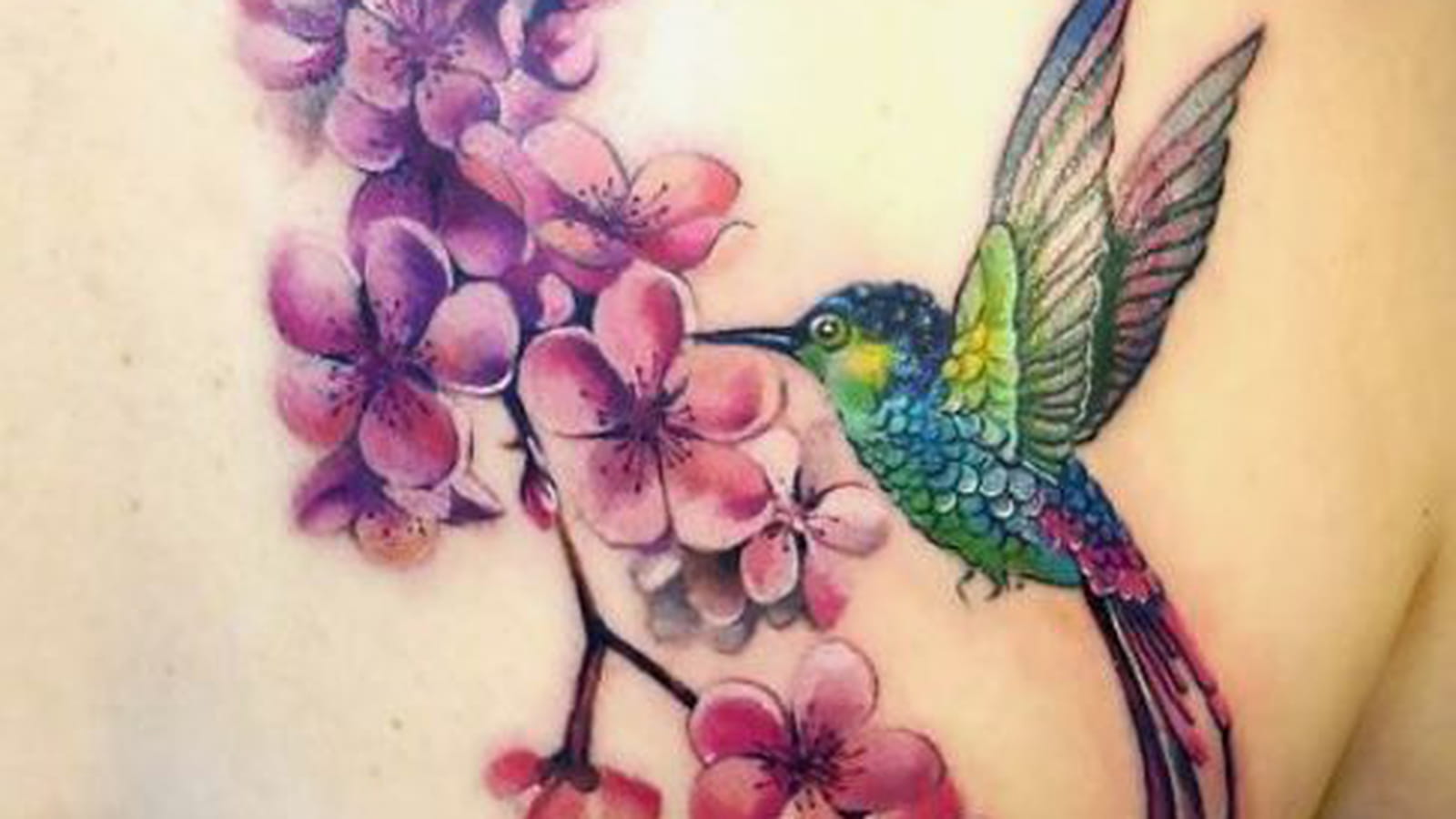 Fleurs de cerisier et oiseau coloré sur le dos
