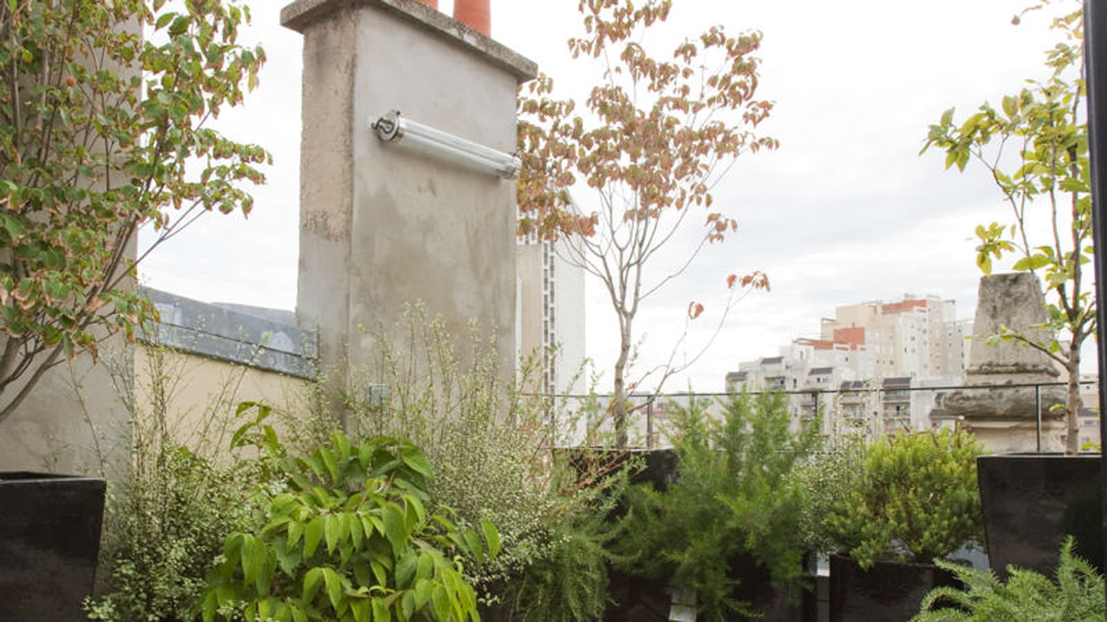 Toit-terrasse