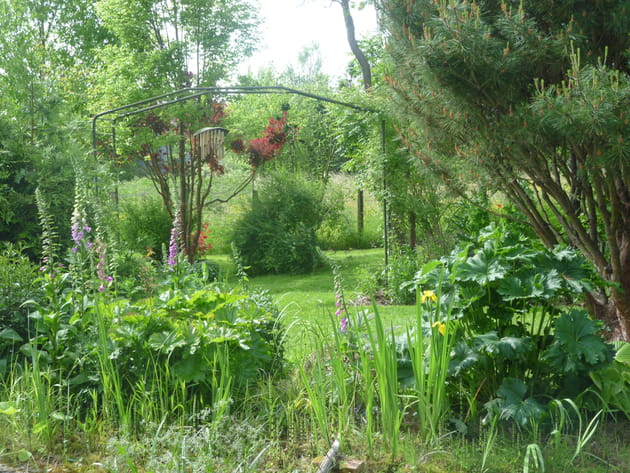 Des animation pour éveiller les sens